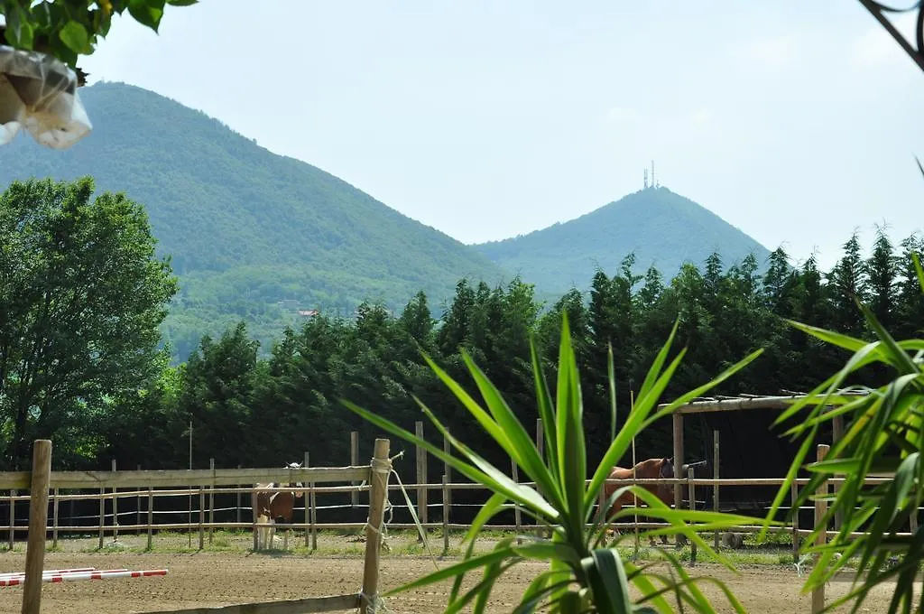 Teolo Aiceltis Bed & Breakfast イタリア